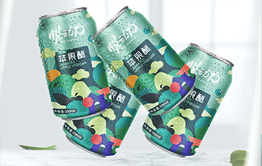 银川苹果醋包装设计