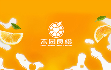 某良橙——银川LOGO设计